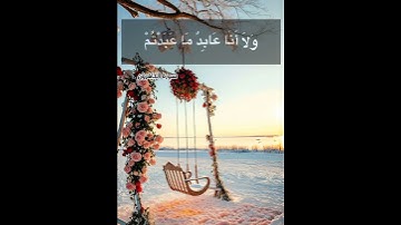 القرآن الكريم سورة الكافرون #سورة_الكافرون #قرآن