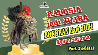 CHAMPION'S SECRET! INSIDER TIPS FROM CONTEST JUDGES | Serama Chicken Part 3 Finished