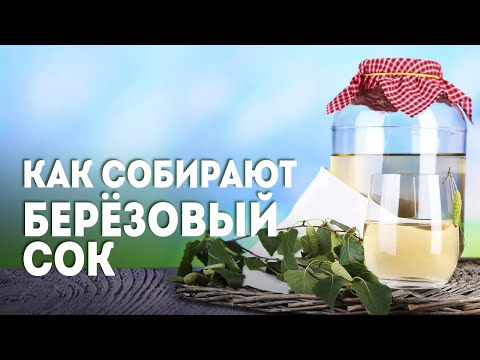 Как правильно собирать