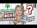 DIY Dollar Tree Christmas Decor Mystery Box Challenge | Dollar Tree DIYS | Krafts by Katelyn