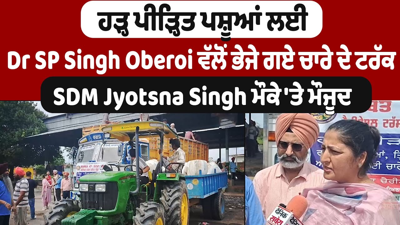ਹੜ੍ਹ ਪੀੜ੍ਹਿਤ ਪਸ਼ੂਆਂ ਲਈ Dr SP Singh Oberoi ਵੱਲੋਂ ਭੇਜੇ ਗਏ ਚਾਰੇ ਦੇ ਟਰੱਕ,SDM Jyotsna Singh ਮੌਕੇ 'ਤੇ ਮੌਜੂਦ