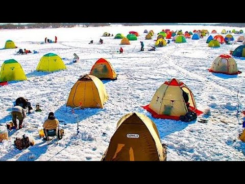 ПОШЛА ЖАРА! ВЕСЕННИЙ ЖОР на ПРОСТЫЕ СНАСТИ!  Рыбалка весной на мормышку. Рыбалка 2026