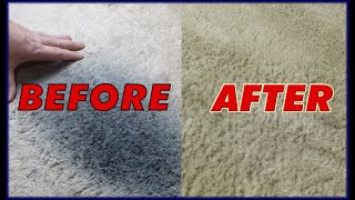 Remove grease from carpet. last resort to remove grease, oil or tar  WARNING, COULD DAMAGE CARPET.
