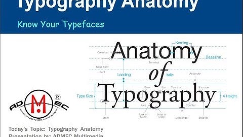 Typography Anatomy  | Importance of Typography in Design by ADMEC Multimedia Institute