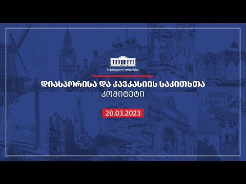 დიასპორისა და კავკასიის საკითხთა კომიტეტის სხდომა - 20.03.2023