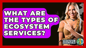 What Are The Types Of Ecosystem Services? - Ecosystem Essentials