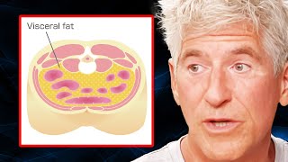 Reverse Visceral Fat (Invisible Obesity): The 1 BEST Way to Optimize Your Health | Dr. Sean O’Mara