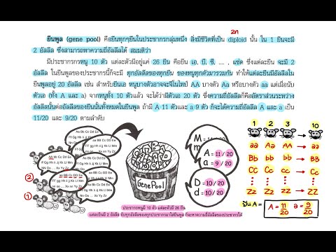 วีดีโอ: การผสมพันธุ์แบบไม่สุ่มในวิวัฒนาการคืออะไร?