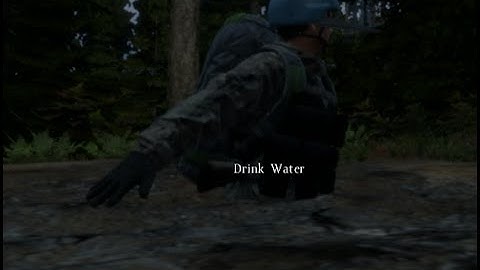 Bug Report || Dayz || #1