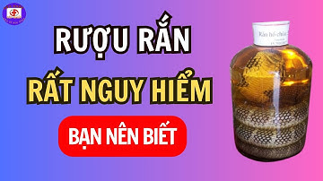Xem Video Này Bạn Sẽ Không Bao Giờ Dám Uống Rượu Rắn | Sức Khỏe Tốt Nhất