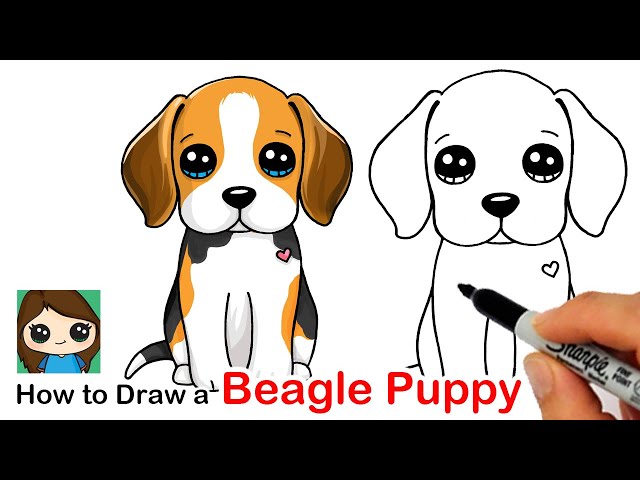 How to Draw a Beagle Puppy Dog Easy ????❤️ - YouTube