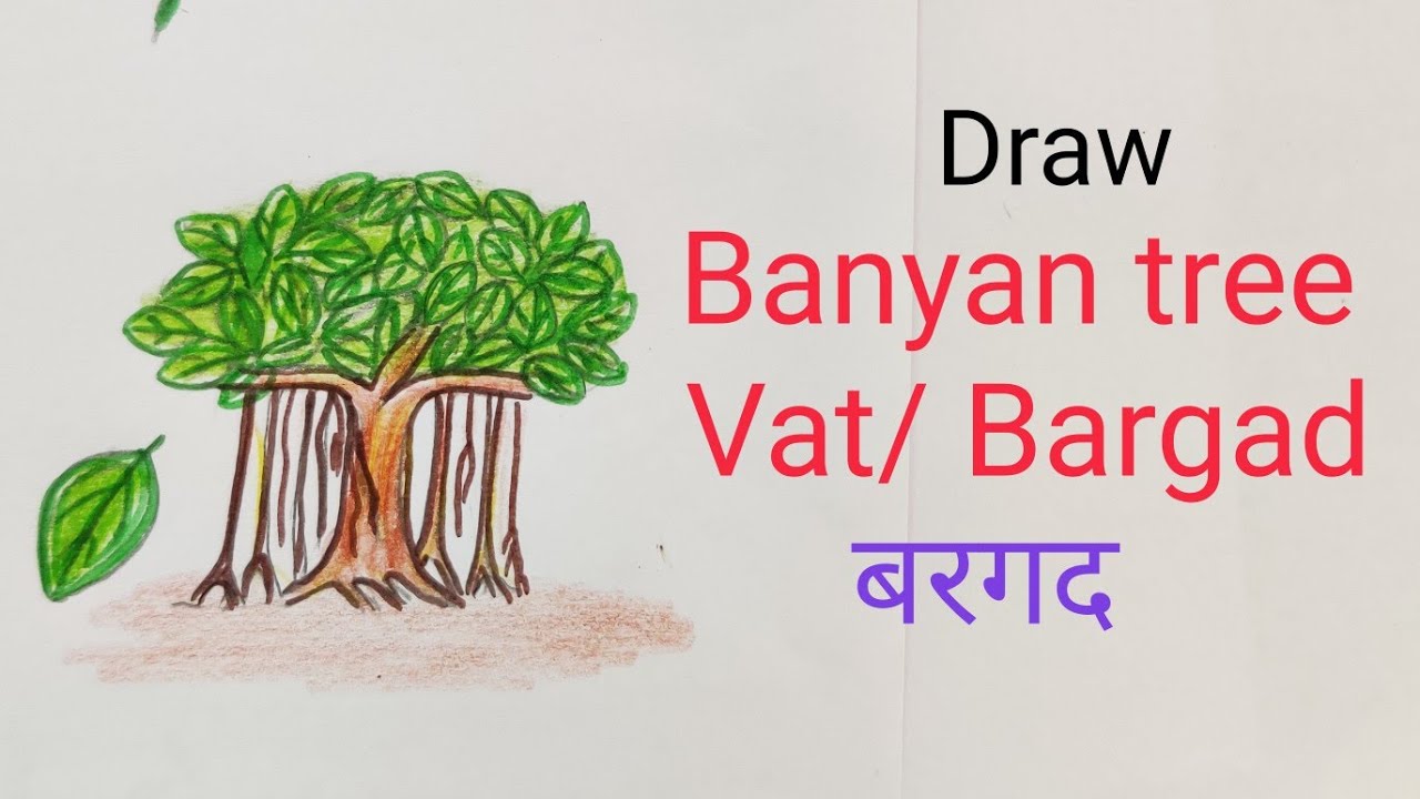 बरगद का पेड़ कैसे आसानी से बनाया जाता है?how to draw a banyan tree//  चित्रकला पेंसिल स्केच।।।। - YouTube