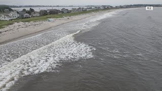 New England aquarium scientist warns oceangoers to be ‘shark smart’ screenshot 5
