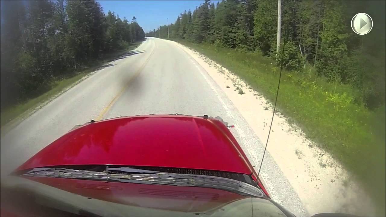 Endangered Dragonfly - Splattered Out Of Existence? | Video