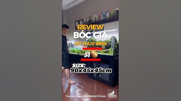 Thiết bị Lọc, Đèn, Chiller cho Hồ Thuỷ Sinh 90cm