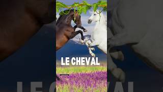 Description du cheval : Expression écrite en français - 5ème année primaire. #cheval #حصان #الخامسة