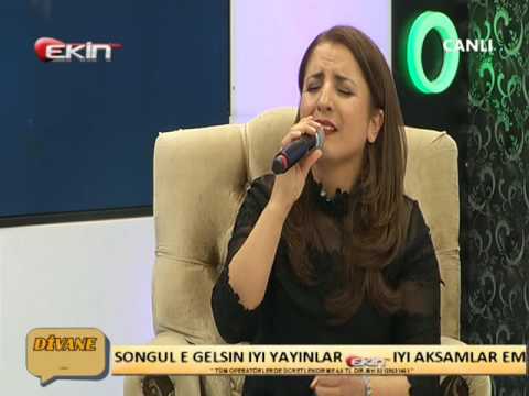 Fatma Şahin - Nazlı Yar Honunu Deren Oldumu (CANLI) Uzun Hava