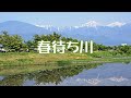 春待ち川 カラオケ歌唱:もっこす