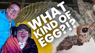 The Incredible, Edible Egg!