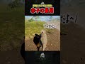 【恐竜として生き残れ】赤子を守るつもりが…#theisle #ゲーム実況＃トリケラトプス#ゲーム実況＃恐竜