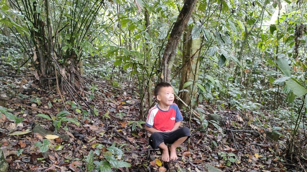 Single mother: The journey of trying to find her lost child in the ...