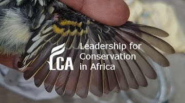 Citizen Science, the smart way to Biodiversity Conservation