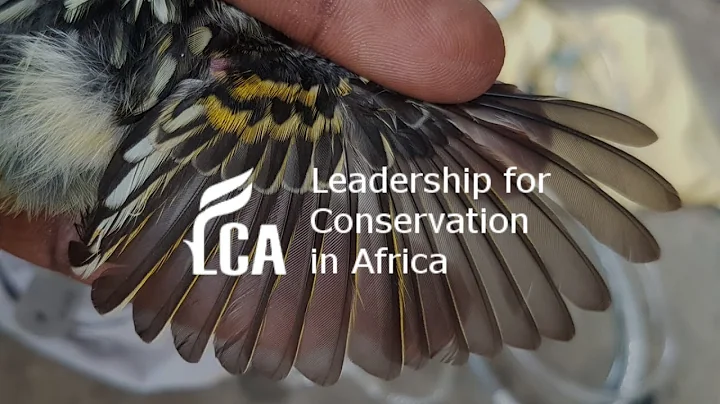 Citizen Science, the smart way to Biodiversity Conservation