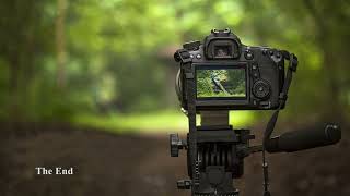 Famous Drushtikon - Beyond the Camera Profile