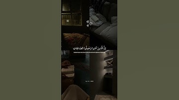وكلُهم آتيه يوم القيامةِ فردا || القارئ عبدالرحمن مسعد  #اكسبلور