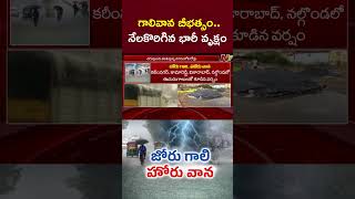 గాలివాన బీభత్సం.. నేలకొరిగిన భారీ వృక్షం | Heavy Rain | NTV Trlugu