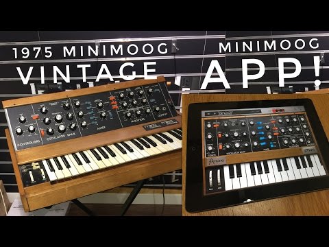 1975 Minimoog Vs iPad Minimoog App!