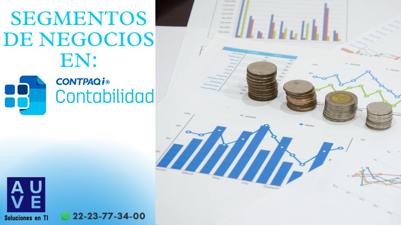 Segmentos de negocio o centros de costo en 