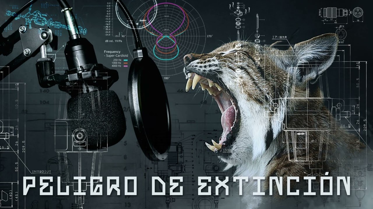 Guarda 04-K.I.L.O-El parque bars con WEEZY(Prod- Ianjamesbeats) su YouTube Guarda 04-K.I.L.O-El parque bars con WEEZY(Prod- Ianjamesbeats) su YouTube