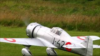 Fokker DXXI - warbird -  Moki 150ccm Radial at Warbirds over Filskov