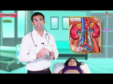 Abdominal examination - Inspection, Auscultation, Palpation, and Percussion