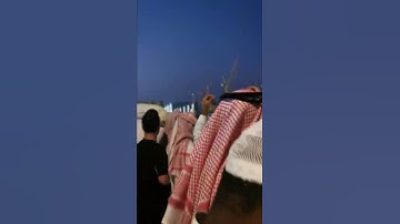جنازة الشيخ محمود خليل القارئ إمام مسجد القبلتين وإمام المسجد النبوي سابقا