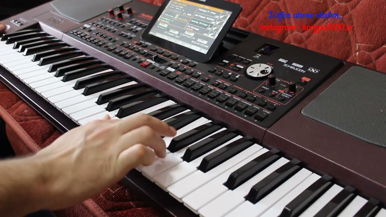 ERİSİN DAĞLARIN KARI