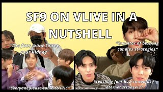 sf9 vlives are a whole other dimension