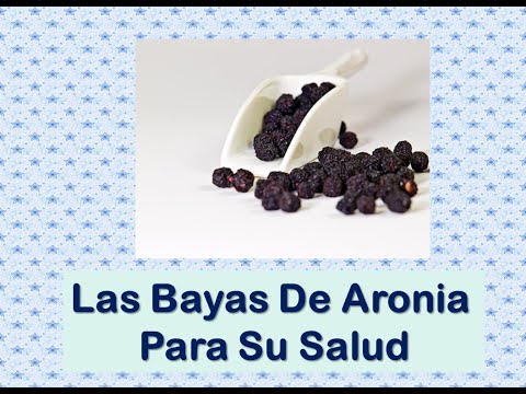 Bayas De Aronia Para Su Salud | Súper Alimento - Chokeberry O Aronia Berries