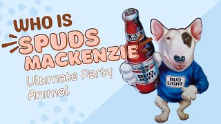 Who is Spuds MacKenzie? Hint: He's the Ultimate Party Animal