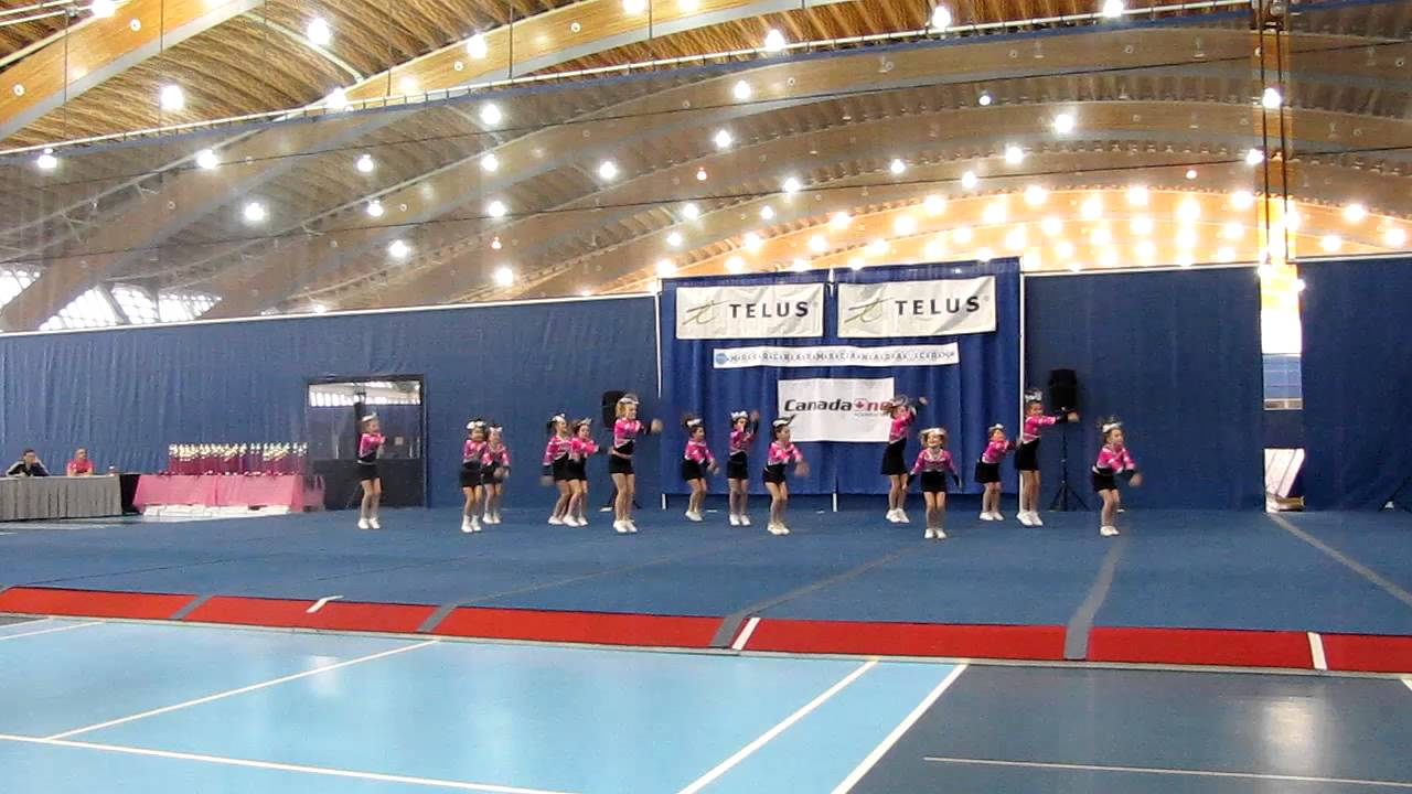 Panther Cheer Athletics Youth 2 PINK Competition Dec 10, 2011