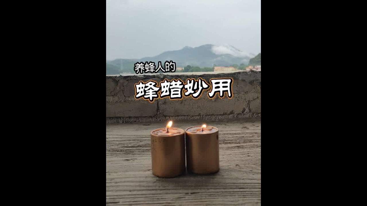 养蜂人的蜂蜡妙用 用蜂蜡诱蜂的方法#诱蜂蜡 #我的乡村生活 #新农人计划2025