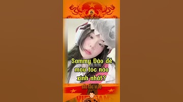 CHỊ SAMMY HỢP VỚI MÀU TÓC NÀO ĐẸP NHẤT… #bảocóc #bảocócvlog #baococvlogboss #shorts #mèosimmy #xh
