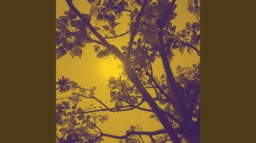 Sublime Ambiance for Sure Visions