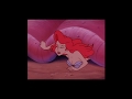 Tlm  ariel trapped under seashell