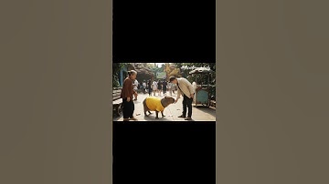 Phần 113: Capy bị bắt cóc #thientruongdaily #capybara #ai