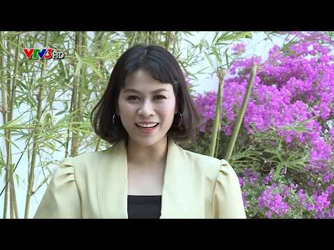 Video KHÔNG GIAN XANH VTV3 - CẢI TẠO NHÀ CẤP 4 - KTS. PHAN... - youtube