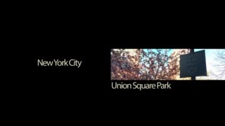 New York Location - Union Square Park 2016