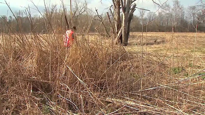 Marion County Pheasant Hunt