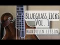 Bluegrass licks vol 1 mandolin lesson